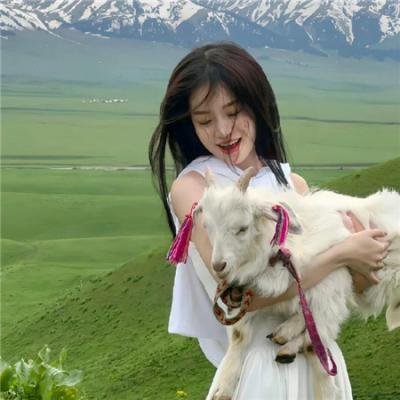 沙海